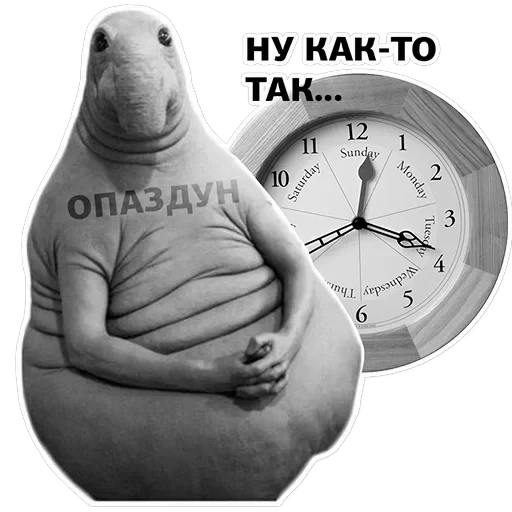 Ждун, спун и другие — превью 2