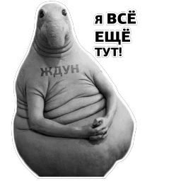 Ждун, спун и другие